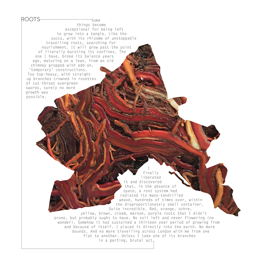 'Roots', (2020), Digital image / Giclee print.