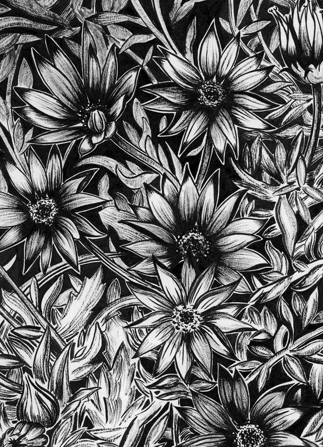 'Daisies', (2021), Ink on paper.